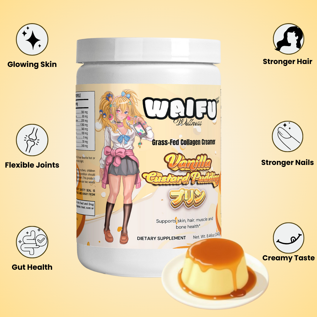 Collagen Powder プリン Japanese Custard Pudding